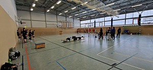 Das aktuelle Top-Bild der VMV-Bildergalerie!
