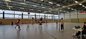 Das aktuelle Top-Bild der VMV-Bildergalerie!