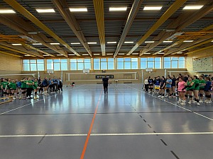 Das aktuelle Top-Bild der VMV-Bildergalerie!