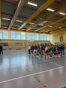 Das aktuelle Top-Bild der VMV-Bildergalerie!