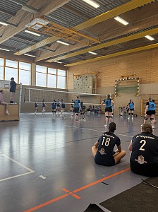 Das aktuelle Top-Bild der VMV-Bildergalerie!