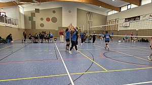 Das aktuelle Top-Bild der VMV-Bildergalerie!