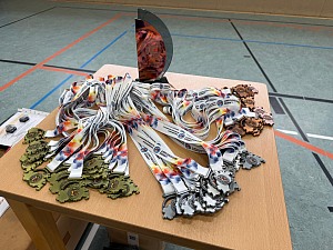 Das aktuelle Top-Bild der VMV-Bildergalerie!