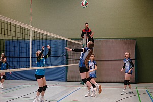 Das aktuelle Top-Bild der VMV-Bildergalerie!