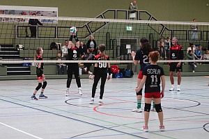 Das aktuelle Top-Bild der VMV-Bildergalerie!