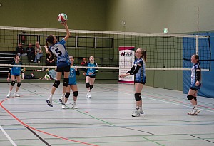 Das aktuelle Top-Bild der VMV-Bildergalerie!