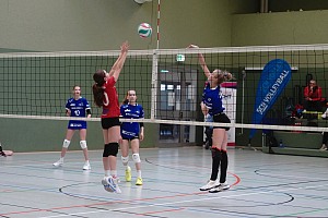 Das aktuelle Top-Bild der VMV-Bildergalerie!