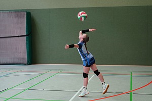 Das aktuelle Top-Bild der VMV-Bildergalerie!