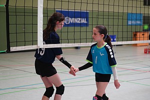 Das aktuelle Top-Bild der VMV-Bildergalerie!