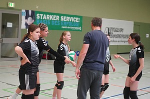 Das aktuelle Top-Bild der VMV-Bildergalerie!