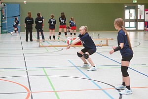 Das aktuelle Top-Bild der VMV-Bildergalerie!