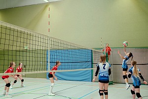 Das aktuelle Top-Bild der VMV-Bildergalerie!