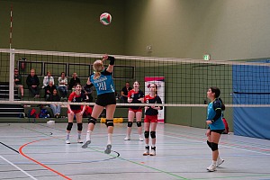 Das aktuelle Top-Bild der VMV-Bildergalerie!
