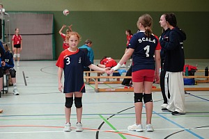 Das aktuelle Top-Bild der VMV-Bildergalerie!