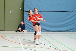 Das aktuelle Top-Bild der VMV-Bildergalerie!