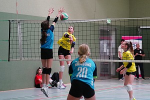 Das aktuelle Top-Bild der VMV-Bildergalerie!