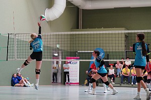 Das aktuelle Top-Bild der VMV-Bildergalerie!