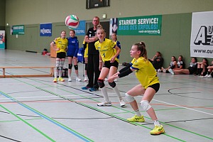 Das aktuelle Top-Bild der VMV-Bildergalerie!