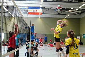 Das aktuelle Top-Bild der VMV-Bildergalerie!