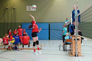 Das aktuelle Top-Bild der VMV-Bildergalerie!