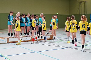 Das aktuelle Top-Bild der VMV-Bildergalerie!