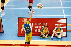 Das aktuelle Top-Bild der VMV-Bildergalerie!