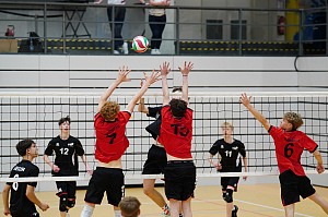 Das aktuelle Top-Bild der VMV-Bildergalerie!