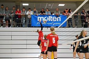 Das aktuelle Top-Bild der VMV-Bildergalerie!