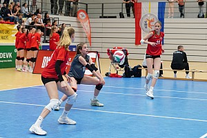 Das aktuelle Top-Bild der VMV-Bildergalerie!