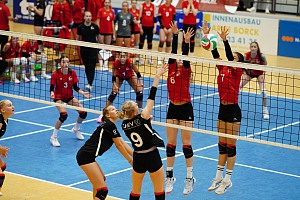 Das aktuelle Top-Bild der VMV-Bildergalerie!