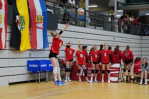Das aktuelle Top-Bild der VMV-Bildergalerie!