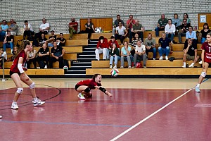 Das aktuelle Top-Bild der VMV-Bildergalerie!