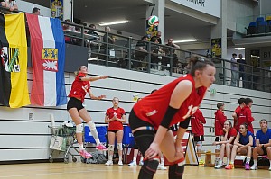 Das aktuelle Top-Bild der VMV-Bildergalerie!