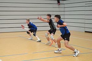 Das aktuelle Top-Bild der VMV-Bildergalerie!