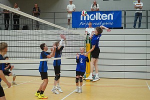 Das aktuelle Top-Bild der VMV-Bildergalerie!