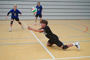 Das aktuelle Top-Bild der VMV-Bildergalerie!