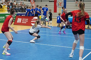 Das aktuelle Top-Bild der VMV-Bildergalerie!