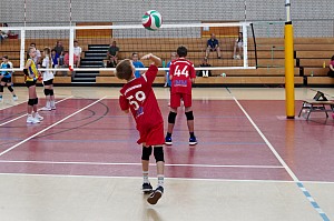 Das aktuelle Top-Bild der VMV-Bildergalerie!