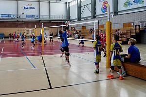 Das aktuelle Top-Bild der VMV-Bildergalerie!