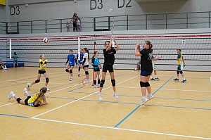 Das aktuelle Top-Bild der VMV-Bildergalerie!