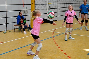 Das aktuelle Top-Bild der VMV-Bildergalerie!