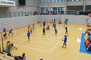 Das aktuelle Top-Bild der VMV-Bildergalerie!