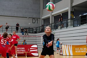 Das aktuelle Top-Bild der VMV-Bildergalerie!