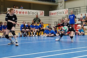 Das aktuelle Top-Bild der VMV-Bildergalerie!