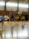 Steffchen beim Zuspiel