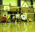 Wo ist der Ball?
Größe: 600 x 552, 71273 Byte
Urheber: Steffen Bock
