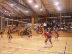 Karo und Maria versuchen an den Ball zu kommen ;-)
Gre: 600 x 450, 44945 Byte
Urheber: André Thiel