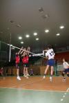 Moppi zieht Leine. "foto by c.t."
Gre: 400 x 600, 30324 Byte
Urheber: Stephan Kubisch