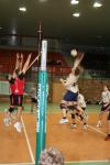 Oehli terminiert. "foto by c.t."
Gre: 400 x 600, 33019 Byte
Urheber: Stephan Kubisch