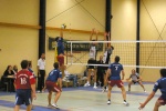 Schöner langer Arm [Foto T.B.]